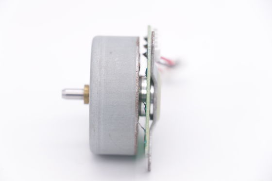DBL4220 40W - 120W মিনি ব্রাশহীন ডিসি মোটর হাই স্পিড হেয়ার ড্রায়ার ফ্যান মোটর