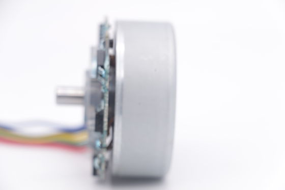 DBL4825 12V 48mm বাইরের রটার BLDC মোটর ফ্যাসিয়া বন্দুক পেশী ম্যাসেজার বন্দুকের জন্য