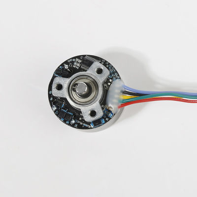 38mm কম শব্দ 12V ব্রাশহীন ডিসি মোটর উচ্চ টর্ক জন্য ম্যাসেজ বন্দুক