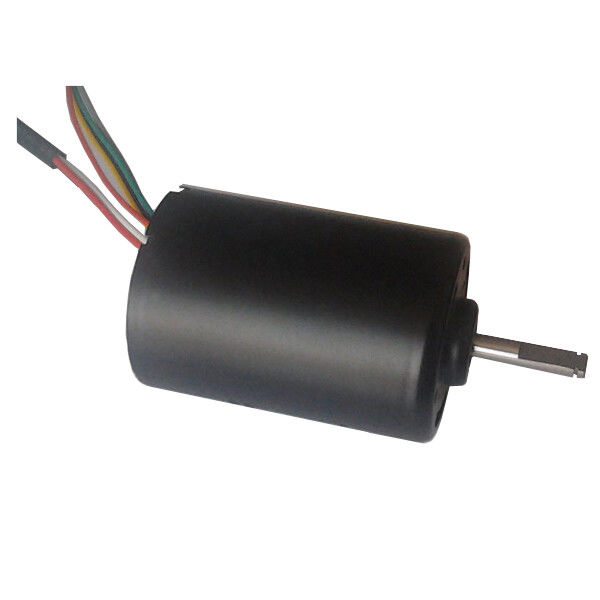 DBL4260 30W উচ্চ টর্ক ডিসি ব্রাশহীন মোটর ওয়াটার পাম্প 24 ভোল্ট বিএলডিসি মোটর