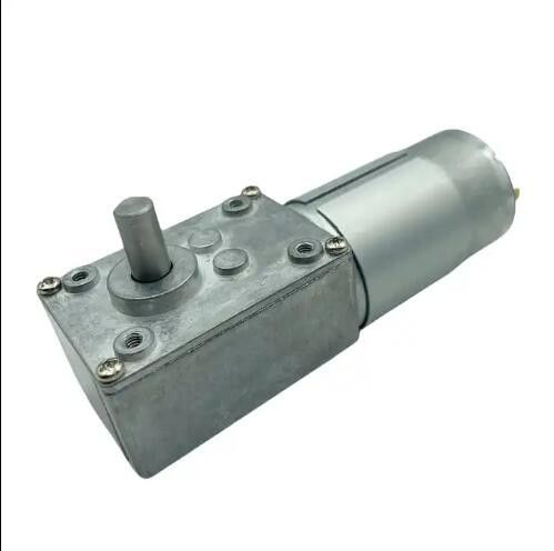 হাই টর্ক ব্রাশ ডিসি গিয়ার মোটর 12V 555 ওয়ার্ম গিয়ার মোটর 24V নিম্ন গতি